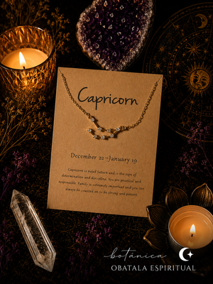 Capricorn Zodiac Necklace – Discipline, Success & Protection Energy