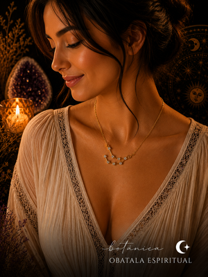 Capricorn Zodiac Necklace – Discipline, Success & Protection Energy